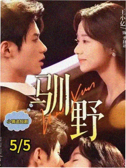 详情卡顶部的条目配图占位